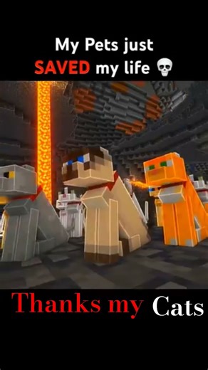 ########################