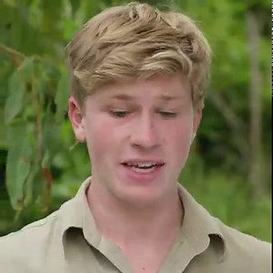 We present to you: Robert Irwin teaching tiger cubs how to swim 🐯 | Discovery Channel UK