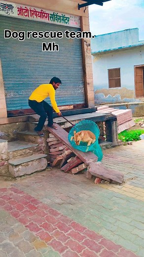Rescue team Maharashtra 🐶 #rescueteam #emergencyresponse #searchandrescue #firstresponders #disasterrelief #humanitarianaid #communityheroes #crisismanagement #rescuemission #teamwork #savinglives #volunteerrescue #lifesavers #emergencyservices #rescuedogs #preparedness #publicsafety #rescueops #helpinghands #courageinaction #hope #togetherwecan #bravery #crisisresponse #togetherwerise #supportourheroes #rescueoperations #disasterresponse #actionincrisis #savingothers | Dod Rescue team 24