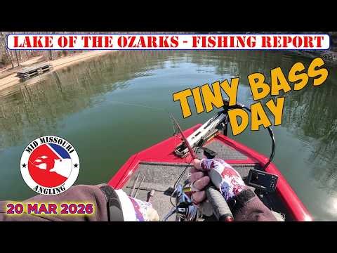 Lake of the Ozarks Bass Fishing - 20 Mar 2026 | Fishing report