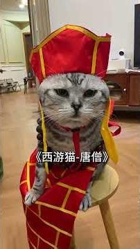 What's your passion as a cat_