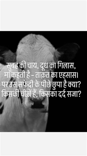 Milk is not vegitarian #save animals#save earth 🌍#short