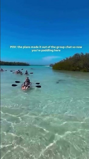 Best place to experience WILD Florida near Sarasota and Siesta Key is to go clear kayaking!