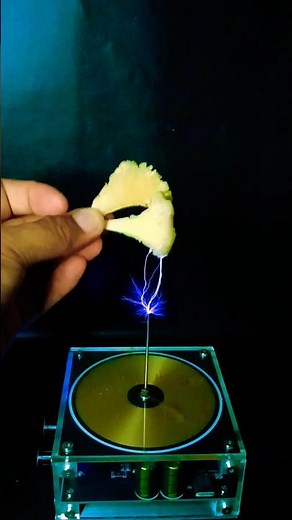 Tesla Coil Experiment Using Mushroom Slices 🍄‍🟫 #teslacoil #experiment #highvoltage