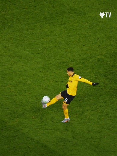 João Gomes Shines in Premier League Match