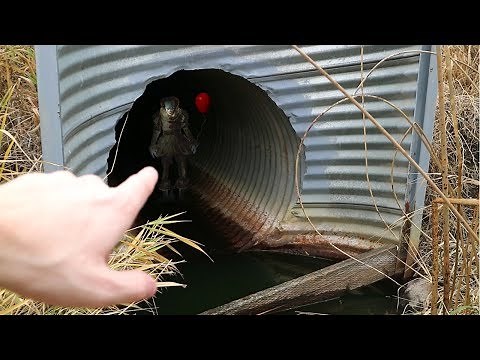 I FOUND PENNYWISE THE CLOWN! (SO SCARY)