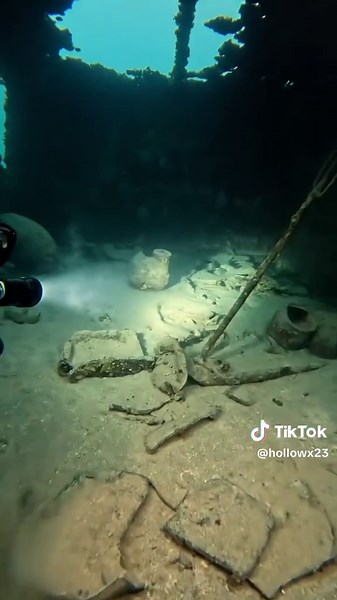 Exploring Ocean Life: Freediving and Scuba Adventures