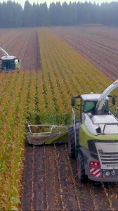 2.4K views | machine | Machine Color | Facebook