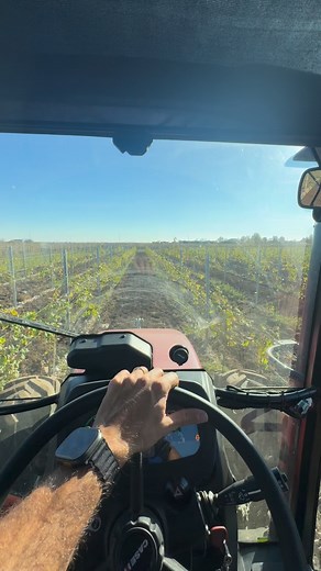 POOL TABLE IN VINEYARD 🎱 . . . #agricoltura #vineyard #pooltable #newholland #caseih #fendt #johndeere #landwirtschaft #landwirt #valtra #johndeerepower #perfect | Piovesan Società Semplice Agricola