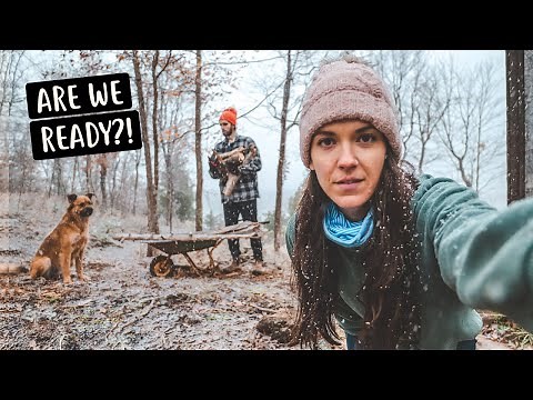 FIRST SNOW AT OUR CABIN | Preparing for Canadian Winter Off-Grid