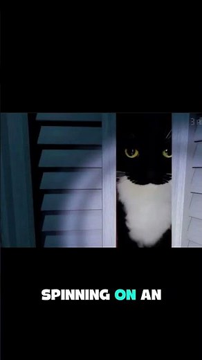 The Cat That Broke The Internet 🐱💀 #catshorts #cats #catfacts