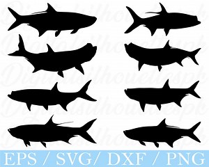 Tarpon Fish Svg, Tarpon Fish Silhouette, Dxf, Png - Etsy