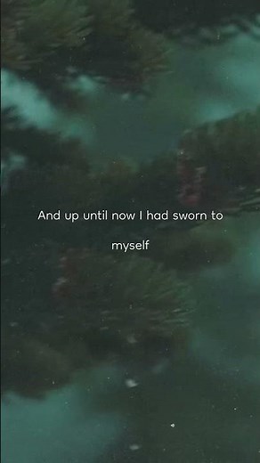 The Only Exception | Lyrics #Paramore #alternativerock #emo