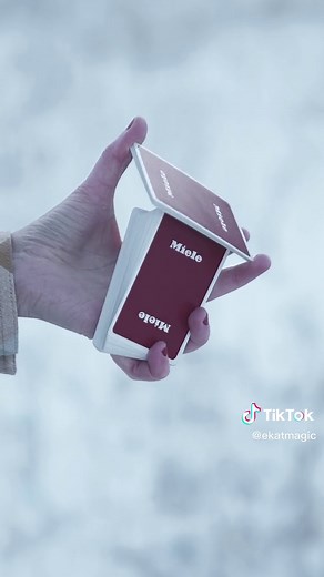 Learn How to Master the Judo Flip with Franco Pascali