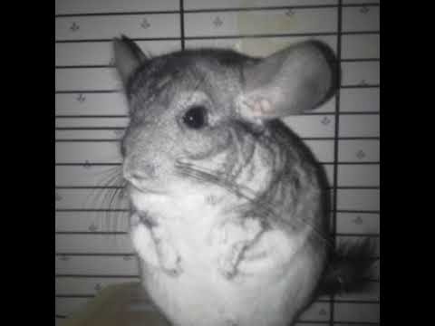 Per Aspera: Tutorial? + Start