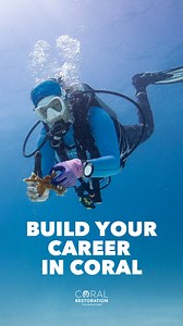 This is your sign to take coral restoration off your screen and into real life. Applications for the CRF Summer Internship Program open January 19. Interns gain hands-on experience in coral nurseries, fieldwork, community programs, and nonprofit conservation operations in the Florida Keys. If you are ready to challenge yourself and build a career in reef restoration, this is your opportunity. Dive in now: https://coralrestoration.org/internships/ | Coral Restoration Foundation