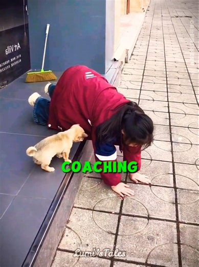 Girl Trains Puppy To Jump 🐶💪 #shorts