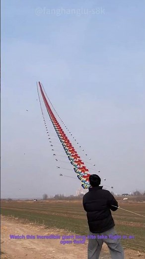 Giant Kite Flying:Amazing Long Kite in the Sky!