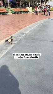 Oh what a life it would be 😜💚 #meme #mysecretla 📹: jvskanian/ TikTok | Secret Los Angeles
