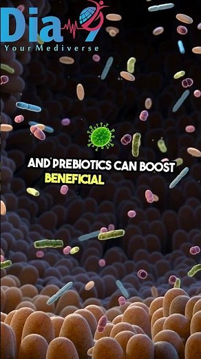 Understanding the Gut-Brain Connection: How Gut Health Affects Anxiety