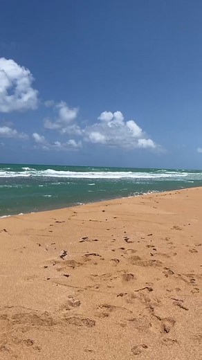 Explorando Piñones: Una experiencia auténtica en Puerto Rico