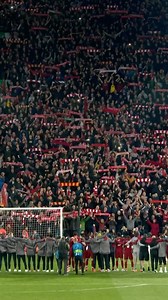 European nights at Anfield ✨ #UCL | UEFA Champions League