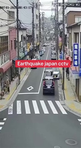 Japan Earthquake Captured on CCTV Footage