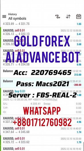 AI Advanced Forex Bot works.