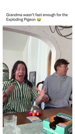 Exploding Pigeon - Family Game