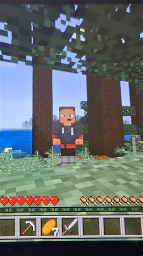 Clutsh minecraft slim/seau d’eau