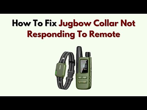 How To Fix Jugbow Collar Not Responding to Remote – Battery, Pairing & Sync Troubleshooting Guide