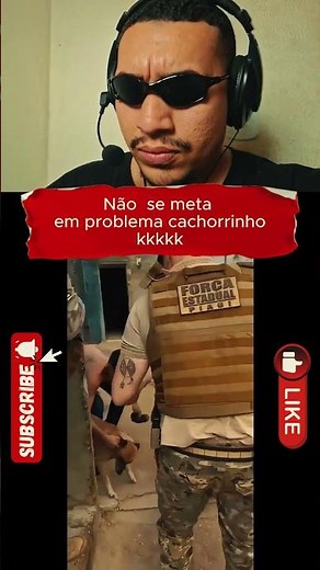 esse cachorro só trás problema #memes