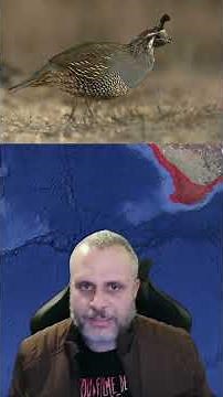 Biomas do mundo: Chaparral #geografia #biomas #geofísica