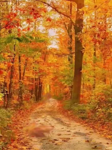 Exploring the Beauty of Autumn Landscapes