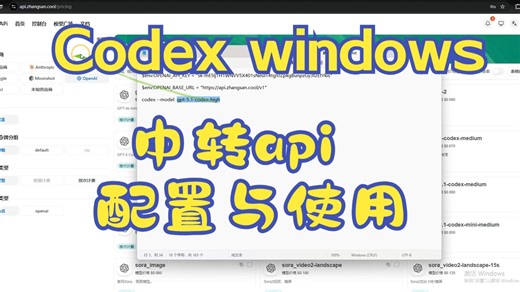 Codex 配置与使用教程（windows)