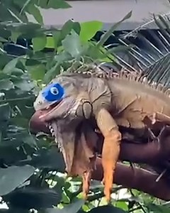 Why is this so creative though? 😂 | UNILAD