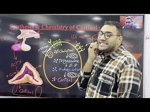 Endocrine crash course -4 (القصر العيني)