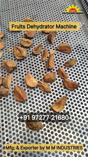 All Fruits Dry in One Machine? 😲 Live Demo! #dryer #food