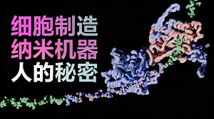 【中配】细胞如何近乎完美地制造纳米机器人 - NanoRooms