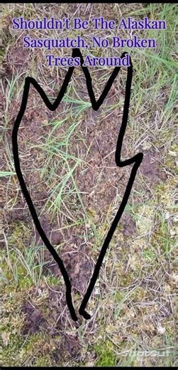 Berry Picking . . . In Sasquatch Territory???