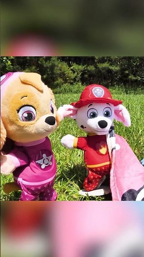 Rubble just wants to help...