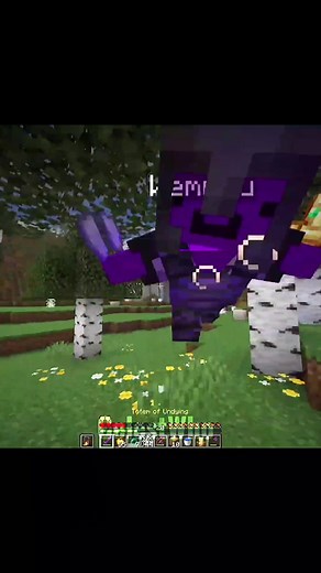 Wemmbu & FlameFrags Unstable SMP edit #unstablesmp #minecraft #fyp #viral #edit