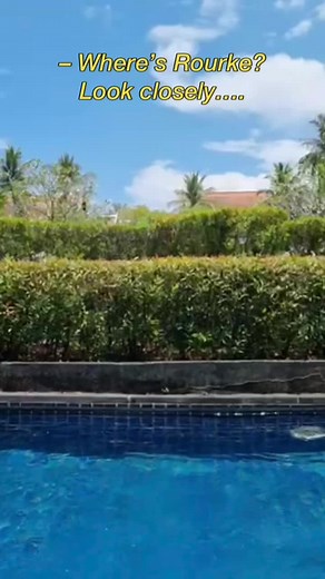 Where's Rourke? Find out the hilarious mystery!