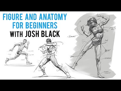 Figure and Anatomy Tips with Josh Black