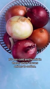 These simple onion storage techniques will keep your fridge smelling (and onions tasting!) super fresh. Click the link for more onion storage tips: https://bit.ly/3QXvHLz | Real Simple
