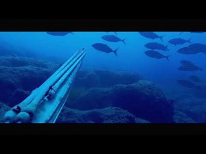 Fish Caller - Richiamo per Pesci | Omer