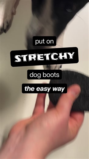 Kate Woods | Train + Simple Dog Behaviour on Instagram: "❄️ Dog boots can make potty breaks painless, but only if they’re easy to get on and off! 🥾🎿 Some of my dogs have had sensitive feet, and don’t like to go outside in the cold. Boots keep them comfy enough to do their business. I got these gel-type ones a couple years ago for my angel, and they were a little hard to get on at first. Now, they’re my favourite and seem to be the ones my dogs like best, too. This tube trick can work for any k
