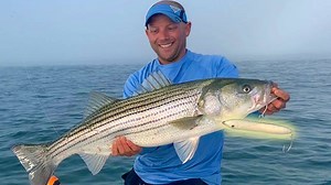 The Doc is made by Musky Mania Lures, a company founded by freshwater-fishing legend Pete Maina, because he was tired of losing muskies on traditional wood lures. When fishing with a wooden lure, the muskie’s teeth would often lodge into the lure, making for poor hook sets. Beginning with the Burt jerk-bait in 1992, Maina began designing lures out of high-impact plastic that couldn’t be penetrated by a muskie’s teeth, allowing for better hookups. Musky Mania now offers more than a dozen muskie l