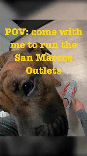 Meta Glasses POV — Half Marathon Training (Day 11)