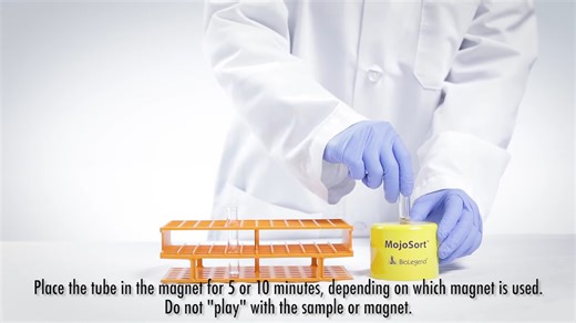 Isolation of Mouse CD4 Naive T cell 小鼠幼稚T细胞的分离（磁珠法）